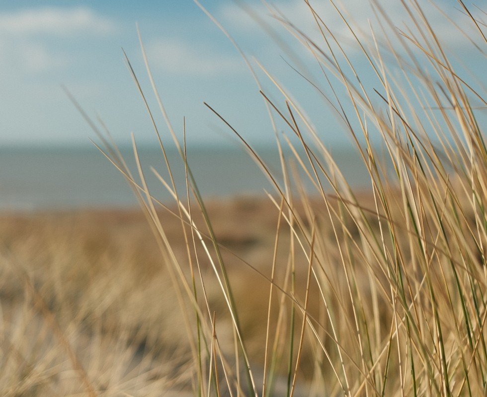 kira-laktionov-8qEyb4irH84-unsplash (3).jpg