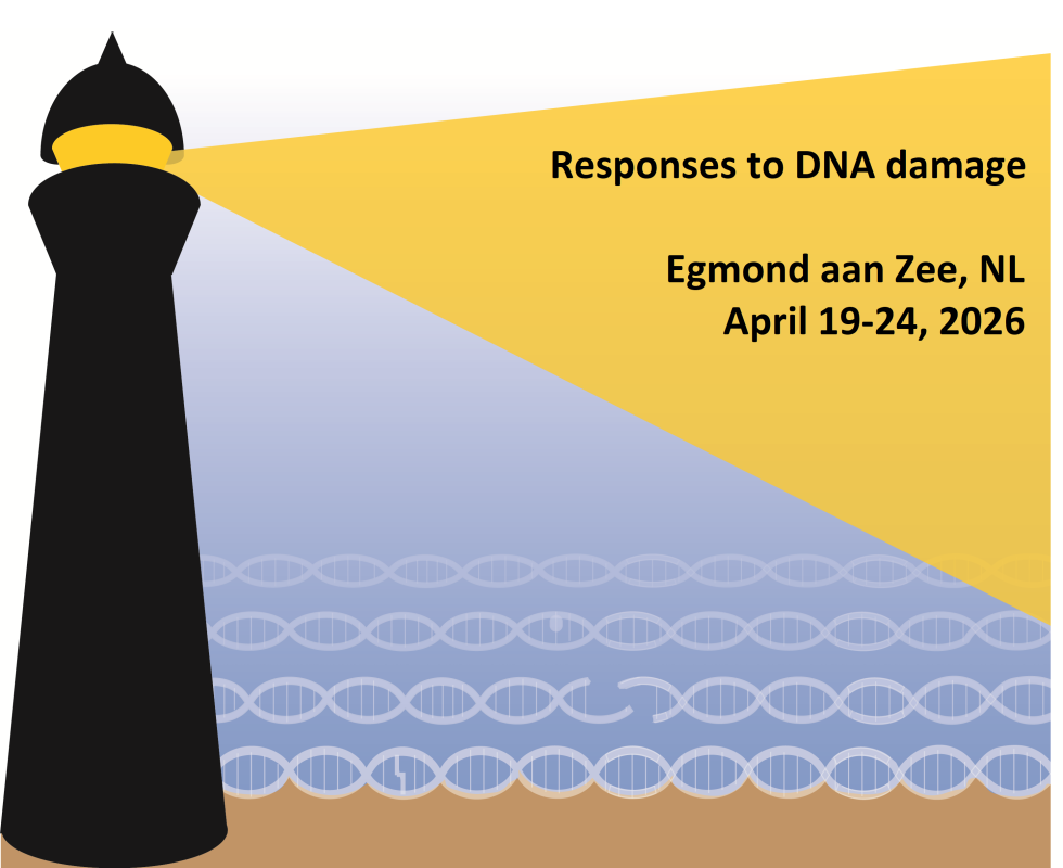 Responce_DNA_logo2026.png