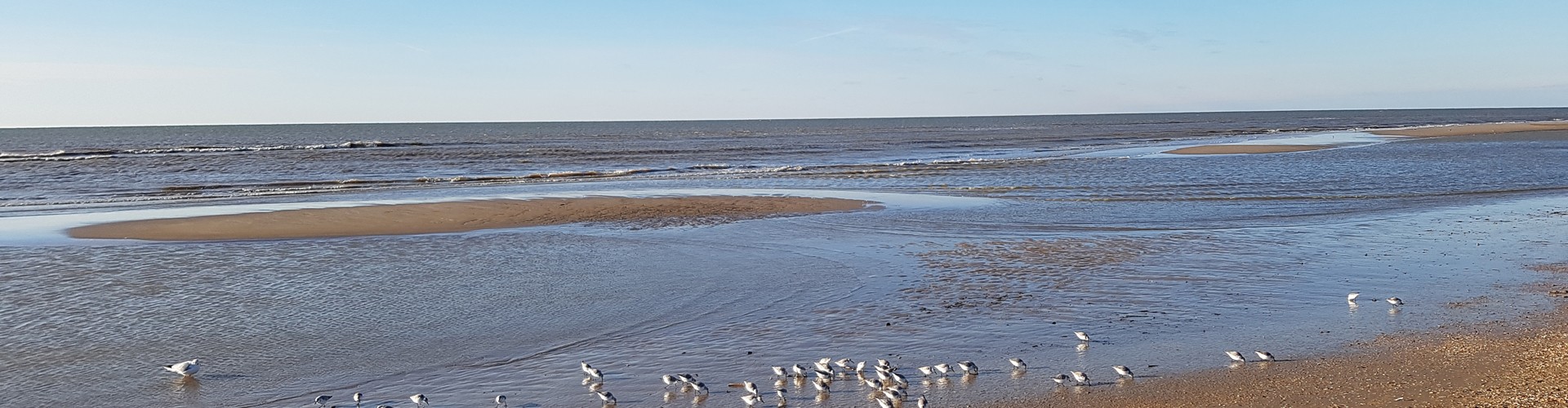 Strand(10).jpg