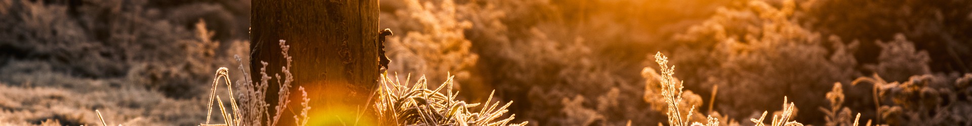 kerstbanner.jpg