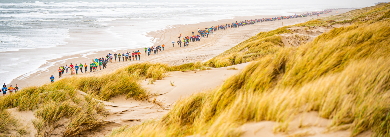 Halve_Marathon_Egmond_Le_Champion02.png