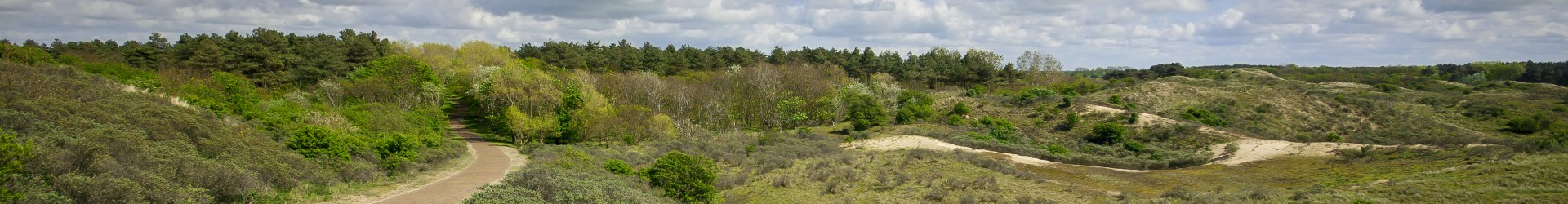Duinen Egmond aan Zee