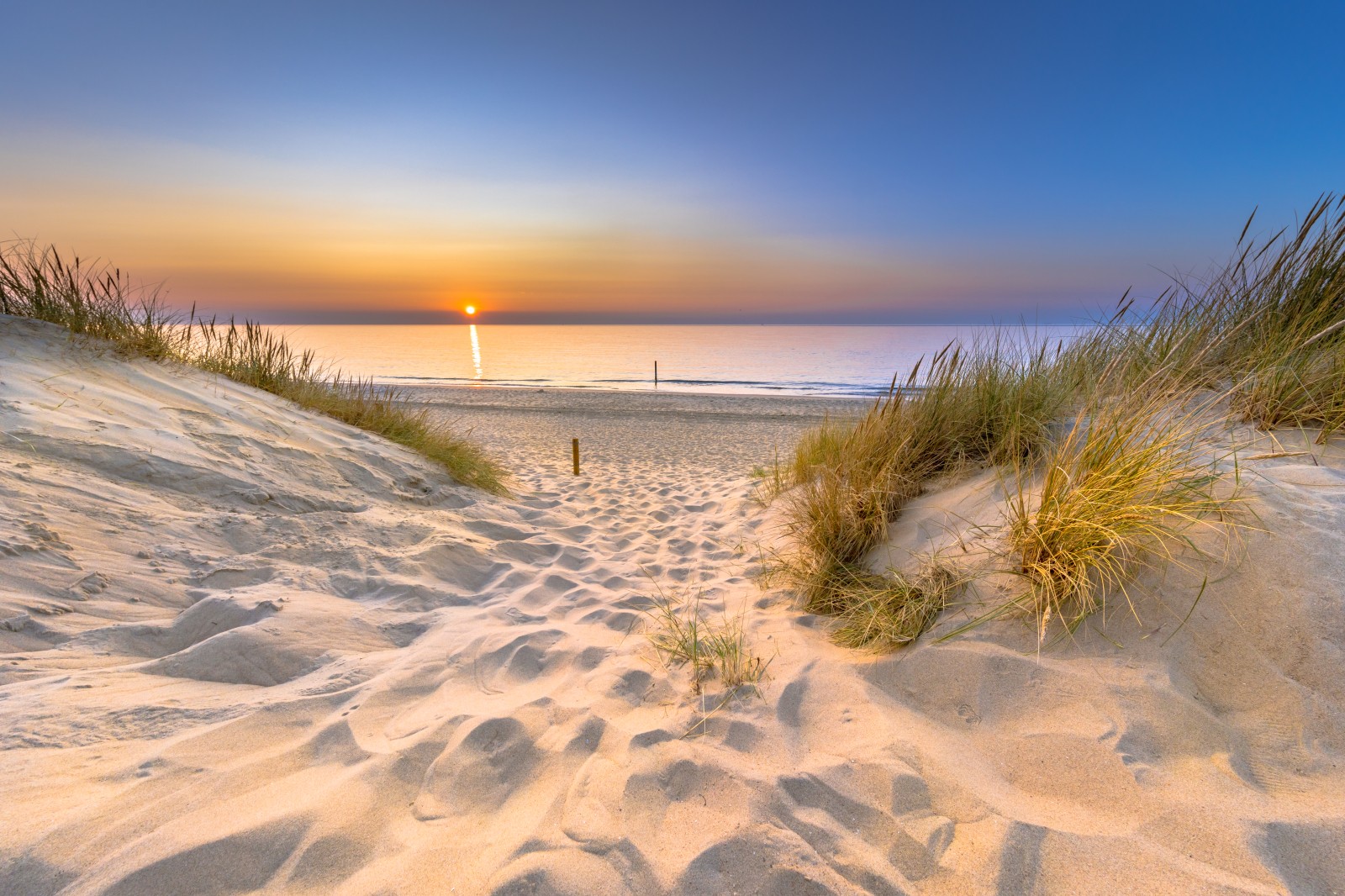 Strand en Duinen